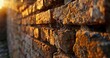 Repointing ancient brickwork, close-up, golden hour, wide lens, craftsmanship and heritage. 