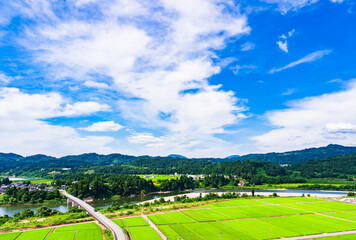 Wall Mural - 川口牛ケ島 の 信濃川 ( 千曲川 ) と 牛ケ島大橋 と 田園風景 【 新潟県 の 風景 】