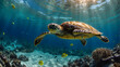 A sea turtle swimming elegantly