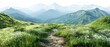 Summertime alpine scenery with an itinerary trail over a white backdrop greenery lush scenery and space, Generative AI.
