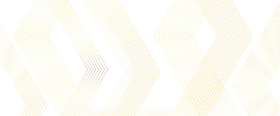 Poster - Vector white abstract background with golden lines, white Transparent background with gold outline decoration.