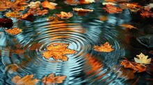 Crisp Fallen Leaves On A Reflective Pond With Ripples