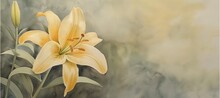 Watercolor Painting Of Pale Yellow Lily On A Light Gray Background.