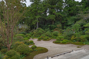 Wall Mural - 静岡 龍潭寺 本堂前庭の風景