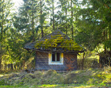 Fototapeta Perspektywa 3d - old abandoned house in the forest