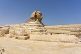 Fototapeta Nowy Jork - The Sphinx in the Giza pyramid complex, Cairo, Egypt