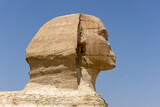 Fototapeta Nowy Jork - The Sphinx in the Giza pyramid complex, Cairo, Egypt
