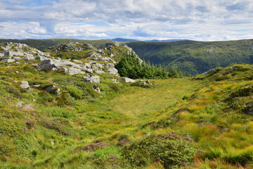 Canvas Print - Paysage du Massif du Stølsheimen vu depuis le Blåmanen