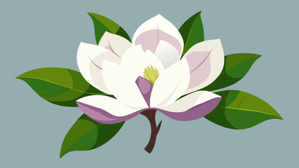 Wall Mural - Captivating Magnolia Vector Art Elevate Your Designs with Stunning Floral Graphics