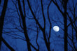 黄昏時の月イメージ２