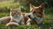 cute dog and cat lying together on a green grass field nature in a spring sunny background.generative.ai