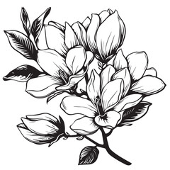 Magnolias in cartoon, doodle style . Image for t-shirt, web, mobile apps and ui. Isolated 2d vector illustration in logo, icon, sketch style, Eps 10, black and white. AI Generative