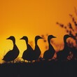 A flock of Indian Runner ducks waddling gracefully in unison across a sunlit meadow. 