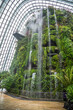 Singapore Cloud Forest. The famous rainforest under the dome