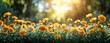 Beautiful spring meadow with wild flowers, dandelions and grass on a blurred background, in the style of sunshine generative AI