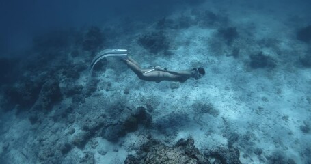 Wall Mural - Woman freediver swimming underwater on deep in transparent tropical sea. Freediving in blue ocean