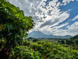 Rwandan landscape close to Volcanoes National Park / Virunga mountains