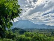 Mount Bisoke, Virunga volcano with cloud cover and an African Redwood in the foreground 