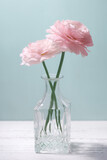 Fototapeta Tulipany - pink ranunculus