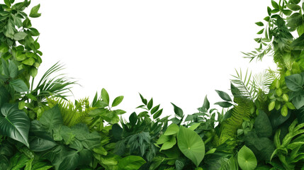 Wall Mural - tropical leaves foliage plant bush floral border isolated on clear png background and transparent ba