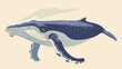 Humpback sealife isolated illustration design flat