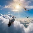 구름위의 새