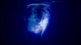 Fototapeta Do przedpokoju - Blue purple energy magic waves and lines of liquid plasma smoke particles futuristic . Abstract background
