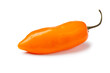 Single fresh raw Peruvian Aji Amararillo pepper close up isolated on white background