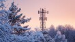 Snowy Cell Tower at Winter Dawn
