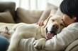 labrador retriever dog cuddling with its owner on the sofa. Pet and owner bonding concept.
