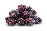 Fototapeta Nowy Jork - fresh blackberries. Isolated on transparent png