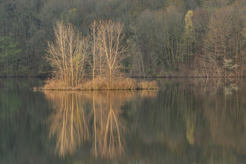 Wall Mural - Spring landscape at sunrise of the shoreline of West Twin Lake with mirrored reflections in calm water, Kalamazoo, Michigan, USA