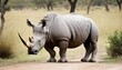 a rhinoceros in a safari setting upscaled 20