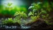 Small plants that have just grown are very fresh watered Generate AI