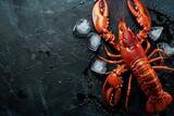 A beautiful red lobster lying on ice and on a black or dark background with space for inscriptions or logo