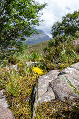 Views Around Torridon