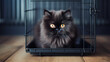 black Persian cat with thick and smooth fur, pure black and sweet sitting in a cage waiting for its owner to come home , Generate AI