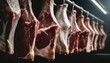 Rows of fresh hung half cow chunks in a large fridge in the meat industry on black background