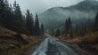 Unpaved Winding Mountain Road Through A Forest On A Cloudy Day