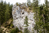 Fototapeta Niebo - Skała na tle górskiego lasu