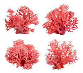Wall Mural - Set of red coral reefs, cut out