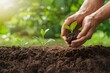 Growth opportunity person plants seeds, nurturing potential for development