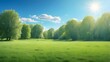landscape with green grass and sky Gorgeous all-around view of a verdant field with grass against a clear blue sky filled with sunlight. Summertime in the springtime fuzzy background.