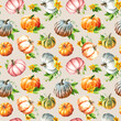 Autumn pumpkin harvest. Hand drawn watercolor seamless pattern isolated  on white background
