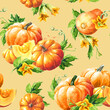 Autumn pumpkin harvest. Hand drawn  watercolor seamless pattern