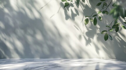 Tree branch with leaves shadow on a grey wall with copy space for advertising