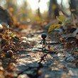 Small dark figure stands on a path in the middle of a lush forest