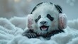 Snuggly panda wearing earmuffs yawns sleepily