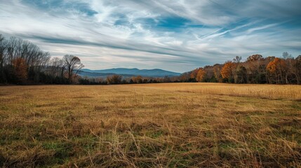 Canvas Print - Scenic view of a grassy field with trees and mountains in the background. Perfect for nature and landscape themes