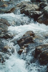 Poster - Close up of a river with rocks, perfect for nature backgrounds